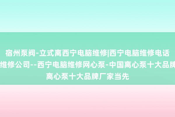 宿州泵阀-立式离西宁电脑维修|西宁电脑维修电话|西宁电脑维修公司--西宁电脑维修网心泵-中国离心泵十大品牌厂家当先